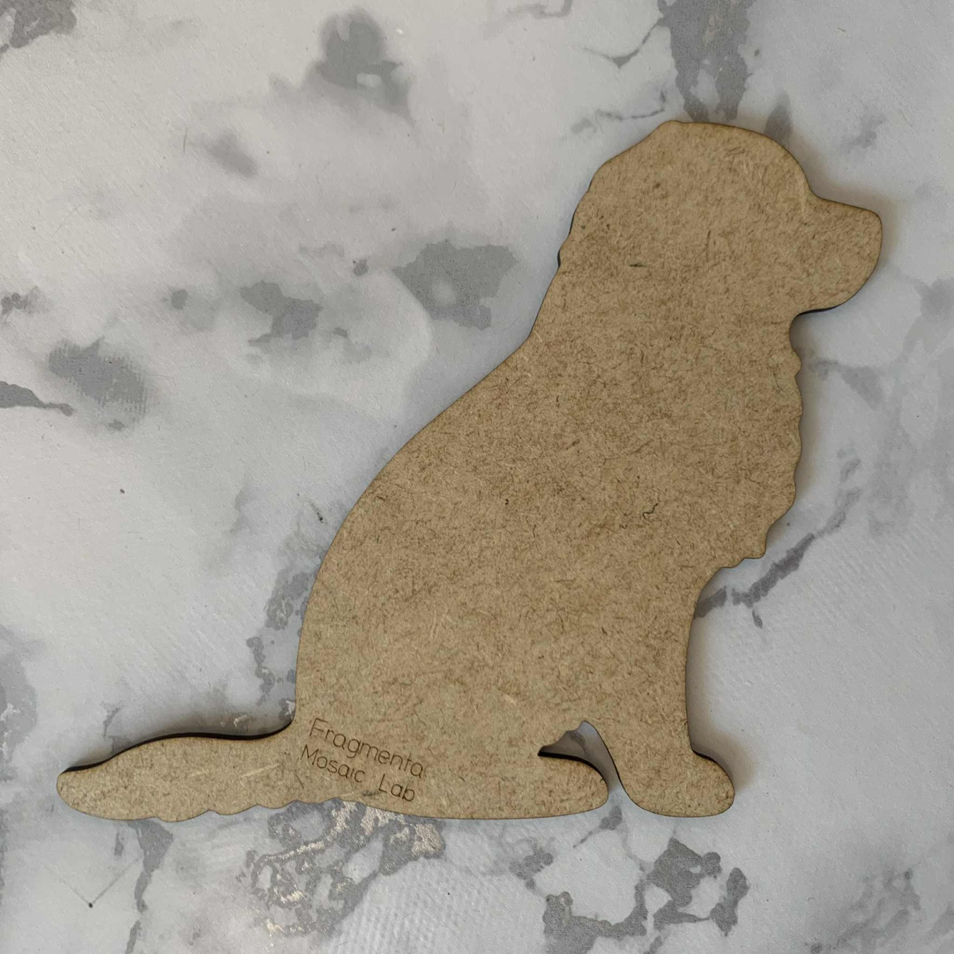 Hund