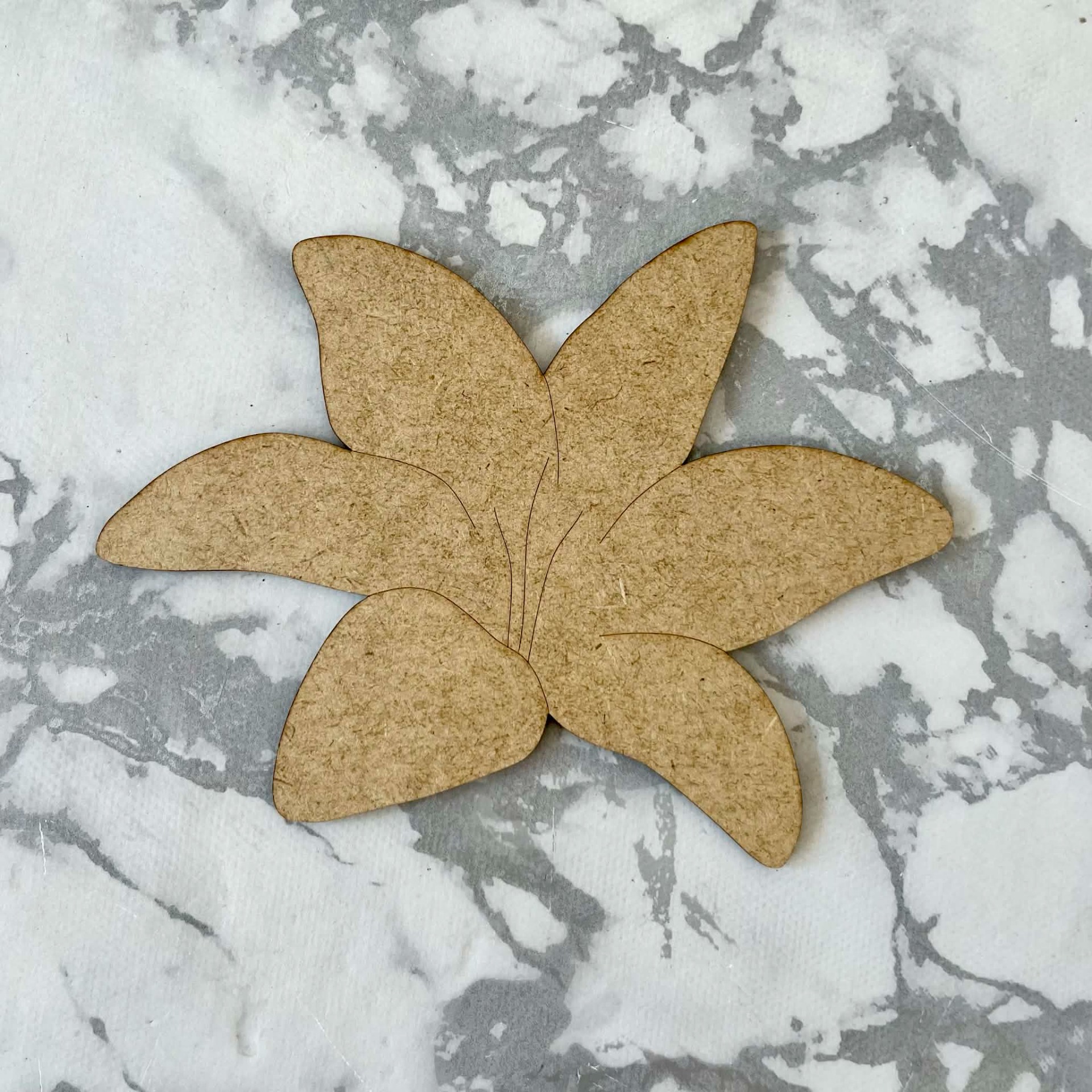 Lilje, 13cm, 129,-